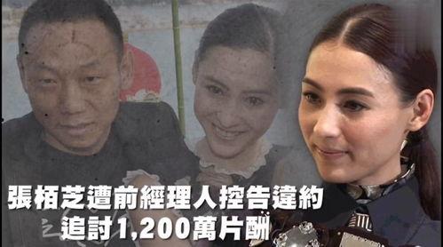 娱乐吃瓜被吐槽,从狂欢到吐槽，揭秘网络舆论的变迁